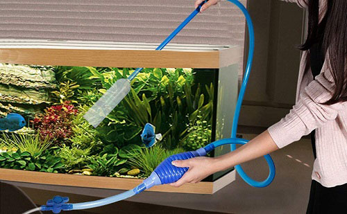 Cách thay nước hồ cá