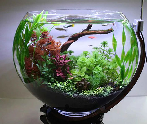Chất lượng nước