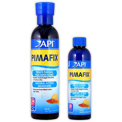 Thuốc đặc trị Pimafix của Mỹ trị nấm đen ở cá rồng