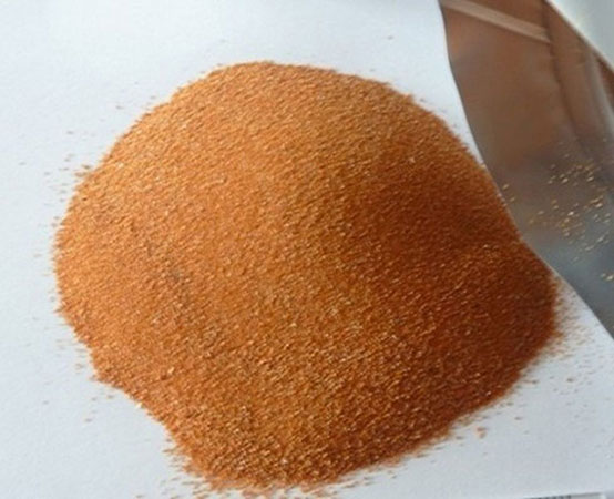 Thức ăn cá 7 màu là gì? Chế độ và cách cho cá bảy màu ăn